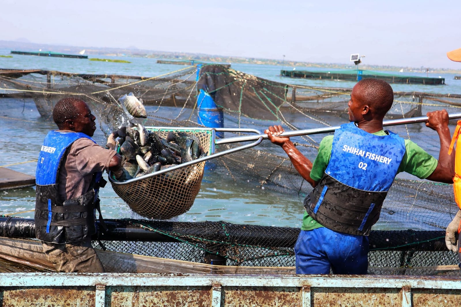 SHIHAI Aquaculture
